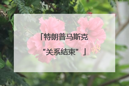 特朗普马斯克“关系结束”