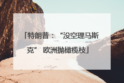 特朗普：“没空理马斯克” 欧洲抛橄榄枝