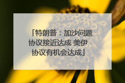 特朗普：加沙问题协议接近达成 美伊协议有机会达成