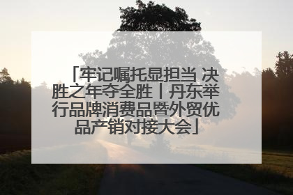 牢记嘱托显担当 决胜之年夺全胜丨丹东举行品牌消费品暨外贸优品产销对接大会