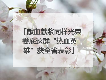 献血献浆同样光荣 娄底这群“热血英雄”获全省表彰