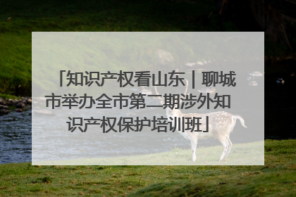 知识产权看山东｜聊城市举办全市第二期涉外知识产权保护培训班