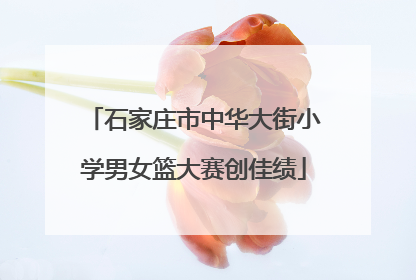 石家庄市中华大街小学男女篮大赛创佳绩