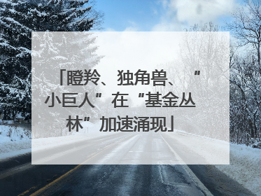 瞪羚、独角兽、“小巨人”在“基金丛林”加速涌现