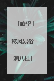 瞭望丨移风易俗润八桂
