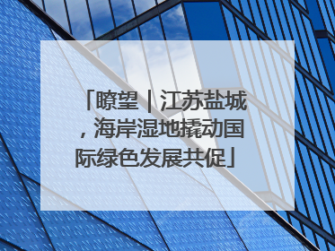 瞭望｜江苏盐城，海岸湿地撬动国际绿色发展共促
