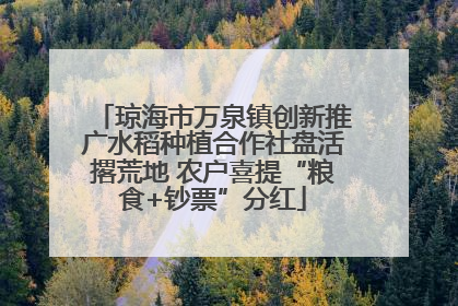 琼海市万泉镇创新推广水稻种植合作社盘活撂荒地 农户喜提“粮食+钞票”分红