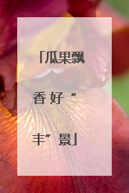 瓜果飘香 好“丰”景