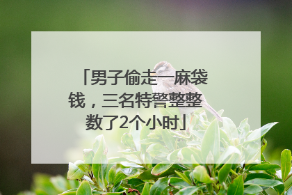 男子偷走一麻袋钱，三名特警整整数了2个小时