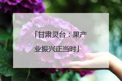 甘肃灵台：果产业振兴正当时