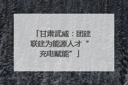 甘肃武威：团建联建为能源人才“充电赋能”