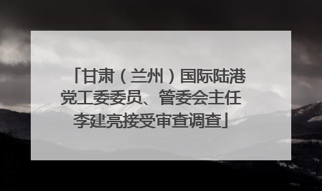 甘肃（兰州）国际陆港党工委委员、管委会主任李建亮接受审查调查