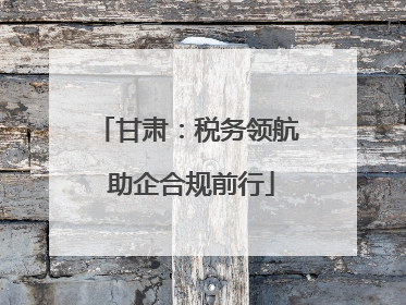 甘肃：税务领航 助企合规前行