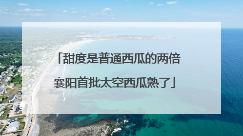 甜度是普通西瓜的两倍 襄阳首批太空西瓜熟了