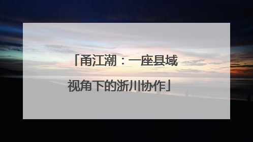 甬江潮：一座县域视角下的浙川协作