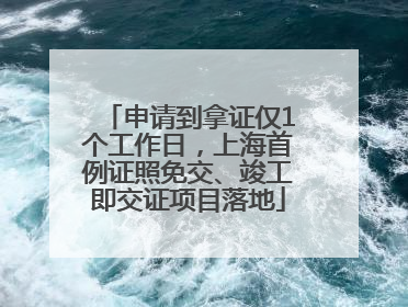 申请到拿证仅1个工作日，上海首例证照免交、竣工即交证项目落地