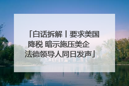 白话拆解丨要求美国降税 暗示施压美企 法德领导人同日发声