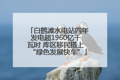 白鹤滩水电站四年发电超1960亿千瓦时 库区移民搭上“绿色发展快车”