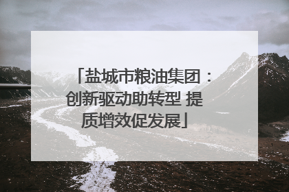 盐城市粮油集团：创新驱动助转型 提质增效促发展