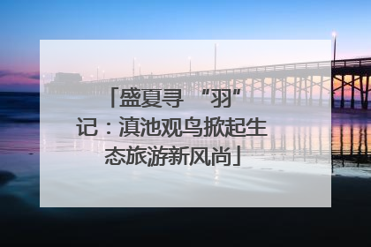 盛夏寻 “羽” 记：滇池观鸟掀起生态旅游新风尚