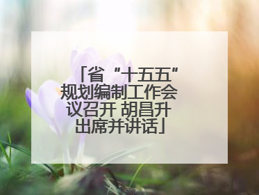 省“十五五”规划编制工作会议召开 胡昌升出席并讲话