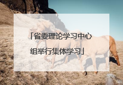 省委理论学习中心组举行集体学习