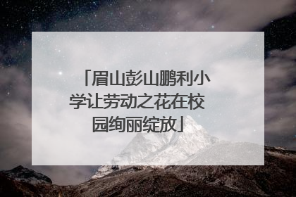 眉山彭山鹏利小学让劳动之花在校园绚丽绽放