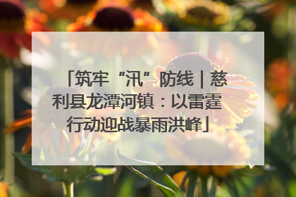 筑牢“汛”防线｜慈利县龙潭河镇：以雷霆行动迎战暴雨洪峰