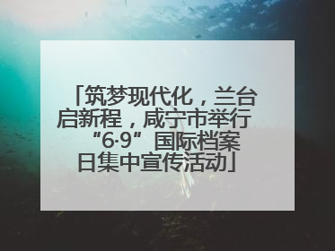 筑梦现代化，兰台启新程，咸宁市举行“6·9”国际档案日集中宣传活动
