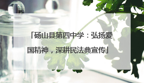 砀山县第四中学：弘扬爱国精神，深耕民法典宣传