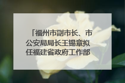 福州市副市长、市公安局局长王锡章拟任福建省政府工作部门正厅长级职务
