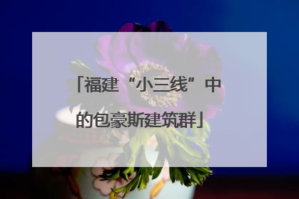 福建“小三线”中的包豪斯建筑群