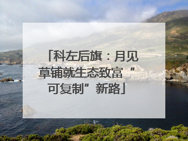 科左后旗：月见草铺就生态致富“可复制”新路