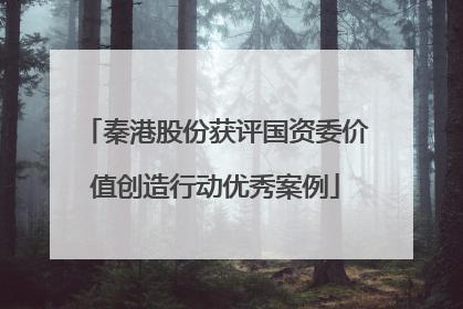 秦港股份获评国资委价值创造行动优秀案例