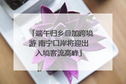 端午归乡叠加跨境游 南宁口岸将迎出入境客流高峰
