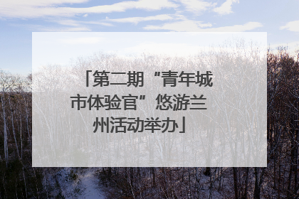 第二期“青年城市体验官”悠游兰州活动举办
