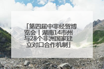 第四届中非经贸博览会丨湖南14市州与28个非洲国家建立对口合作机制