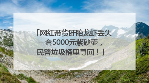 网红带货盱眙龙虾丢失一套5000元紫砂壶，民警垃圾桶里寻回！