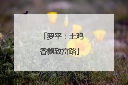 罗平：土鸡香飘致富路