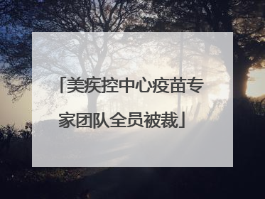 美疾控中心疫苗专家团队全员被裁