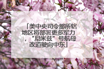 美中央司令部所辖地区将部署更多军力，“尼米兹”号航母改道驶向中东