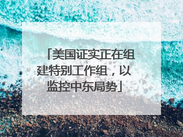美国证实正在组建特别工作组，以监控中东局势