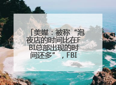 美媒：被称“泡夜店的时间比在FBI总部出现的时间还多”，FBI局长提起诉讼