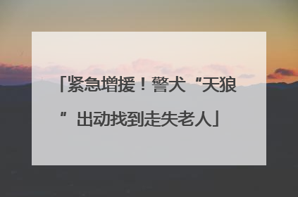 紧急增援！警犬“天狼”出动找到走失老人