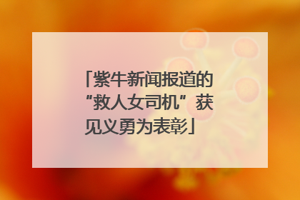 紫牛新闻报道的“救人女司机”获见义勇为表彰