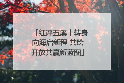 红评五溪丨转身向海启新程 共绘开放共赢新蓝图