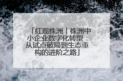 红观株洲丨株洲中小企业数字化转型：从试点破局到生态重构的进阶之路
