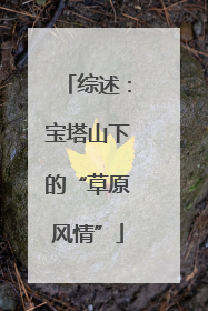 综述：宝塔山下的“草原风情”