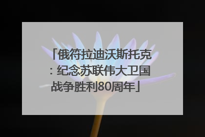 俄符拉迪沃斯托克：纪念苏联伟大卫国战争胜利80周年