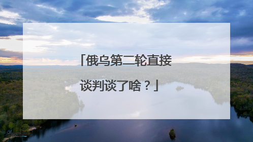 俄乌第二轮直接谈判谈了啥？